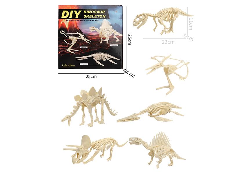 DIY Dinosaur Sklelton