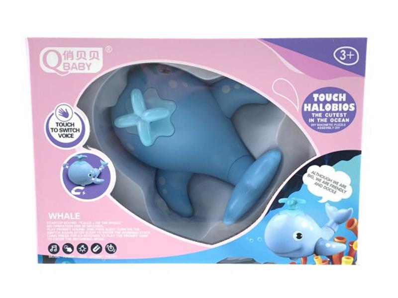 Magnetic DIY Touch Marine Animals - Whale