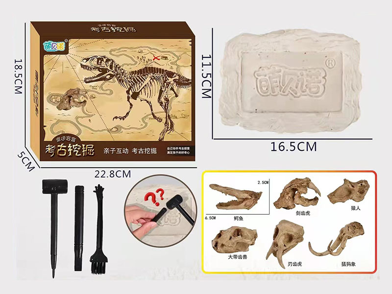 Dinosaur Fossil Archaeological Excavation Kit