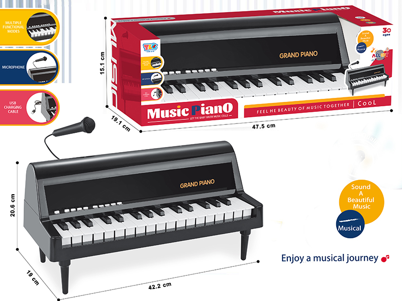 32-Key Electronic Organ With Microphone, USB Cable, Stand(Black)