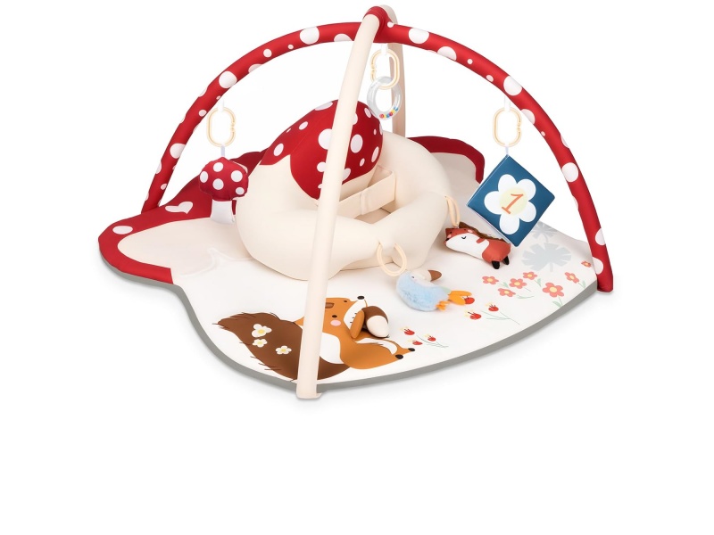 Baby Play Gym