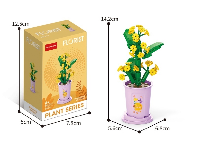 69 Pcs Of Cold Dew Osmanthus