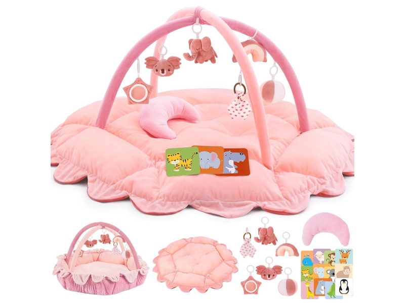 Baby Play Gym