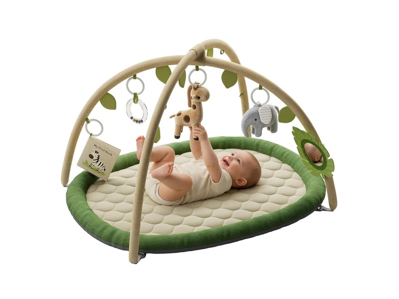 Baby Play Gym