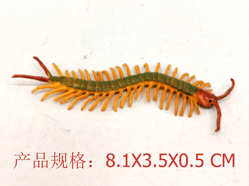 Giant Centipede Model