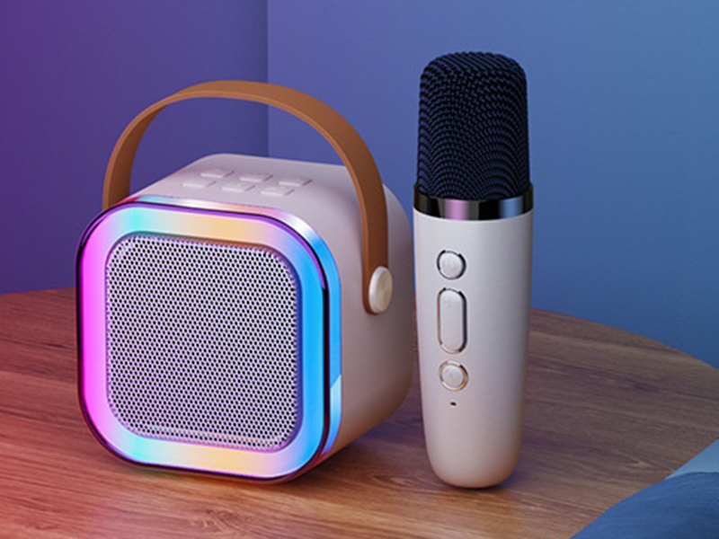 Wireless Bluetooth Portable Speaker(Single Microphone) Medium Configuration