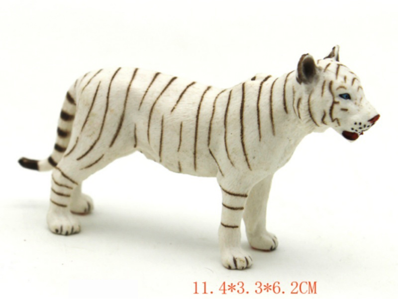 Female White Tiger