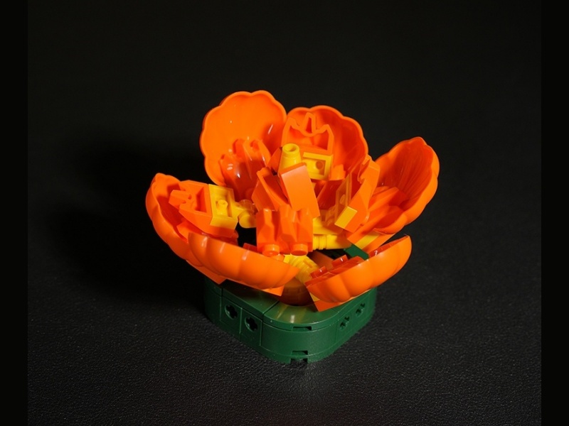 Plant Building Blocks - Dance Of Sunset