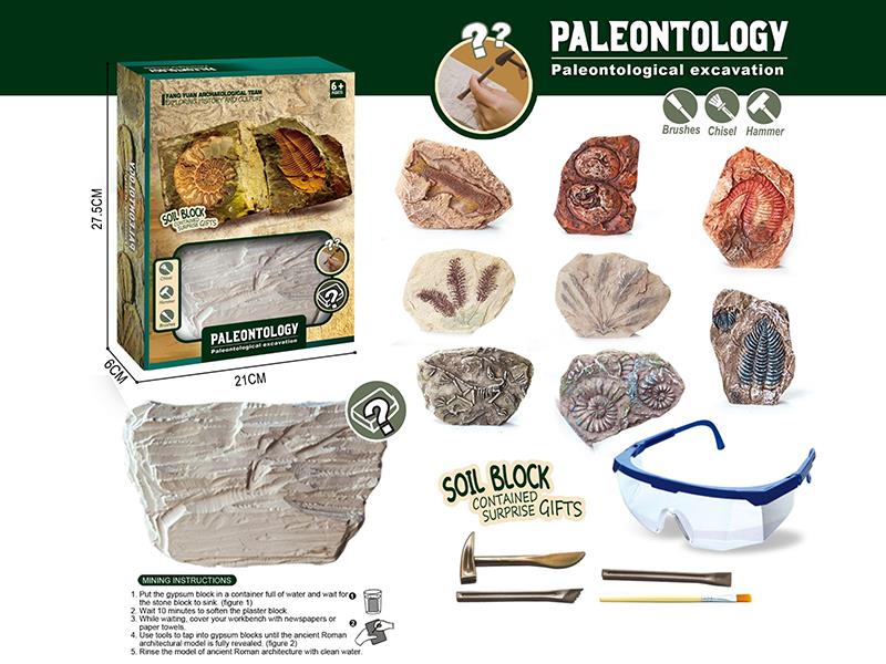 Paleontology Archaeological Excavation Toy