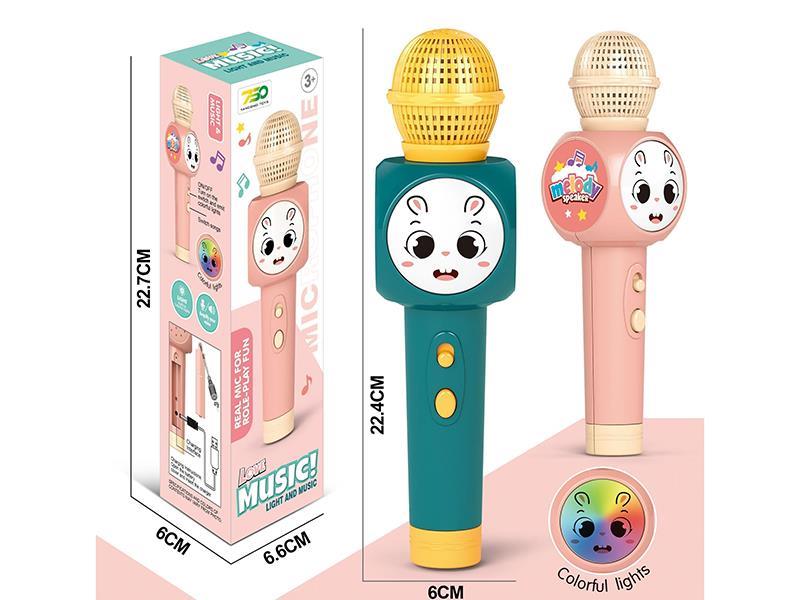 Microphone (Music. Lighting.) Power Amplifier