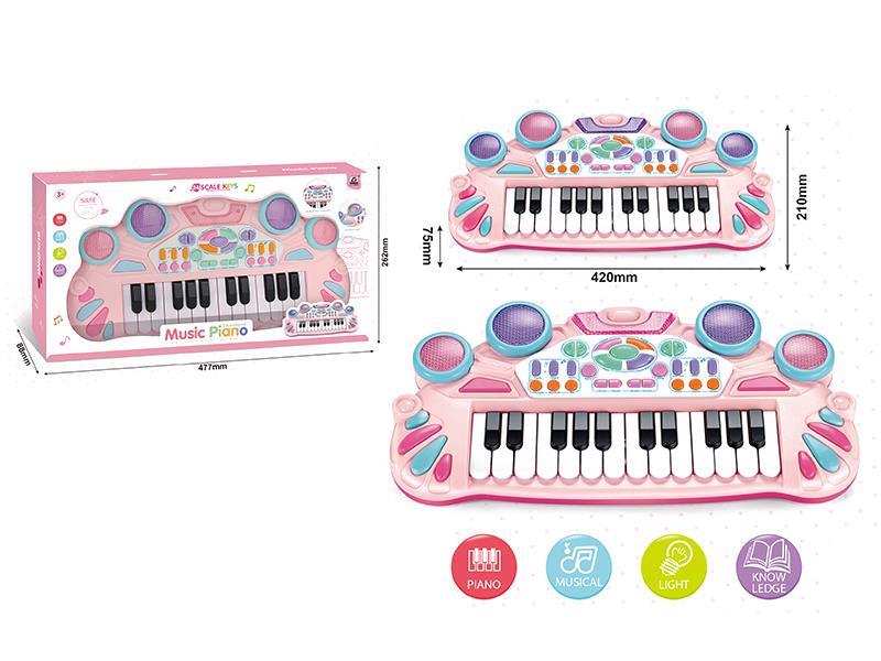 Middle Size Electronic Organ