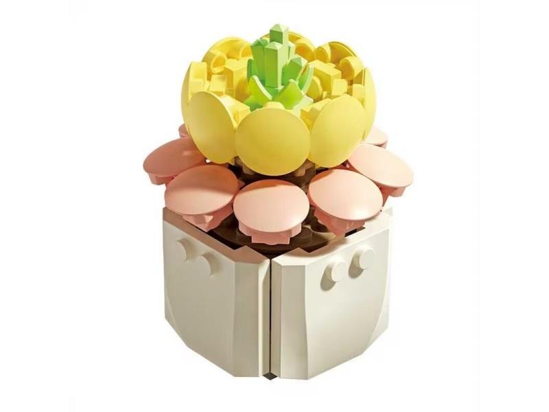 73Pcs Of Small-Sized Succulents - Zi Chi Lian Hua