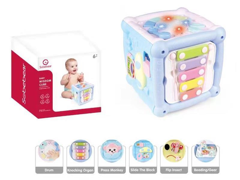 Baby Wisdom Cube