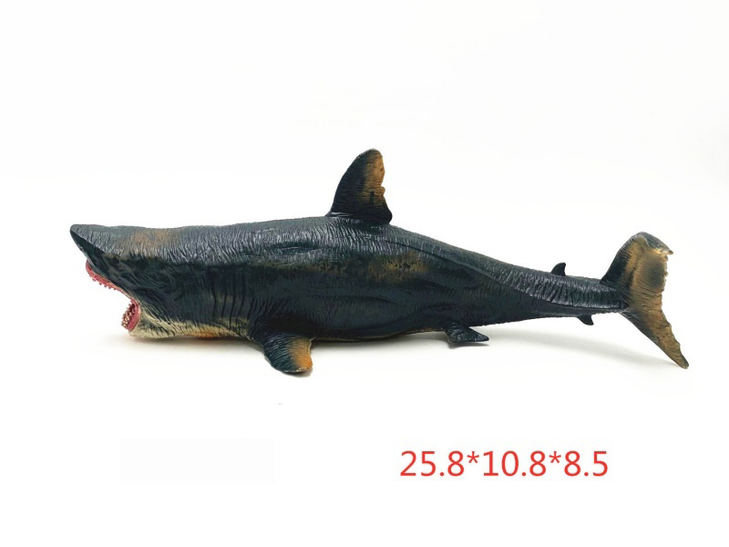 The Hollow Megalodon