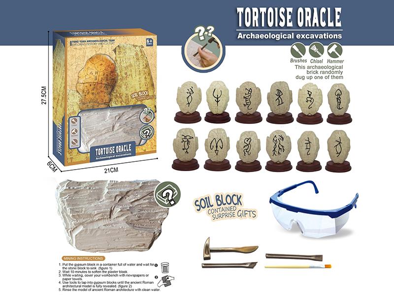Tortoise Oracle Archaeological Excavation Toy