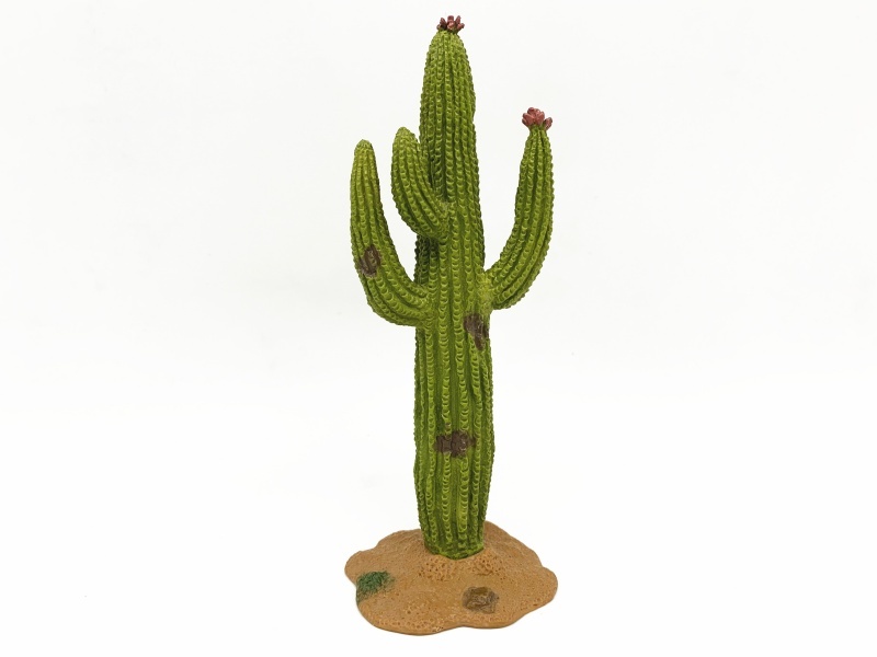 Cactus Model