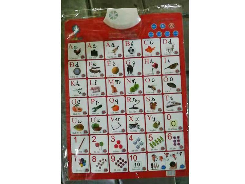 Vietnamese  Learning Wall Charts