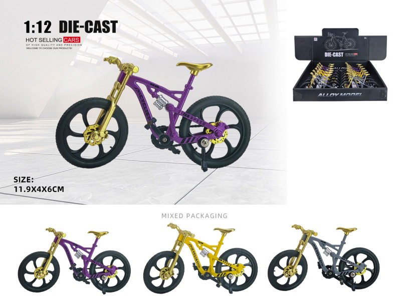 Bicycle Model