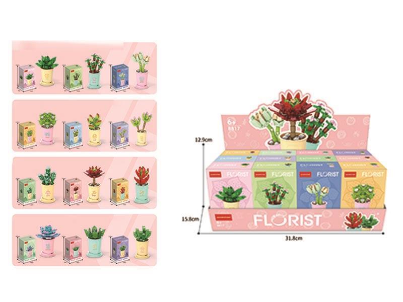 Building Blocks: Lucky Succulents For The 12 Zodiac Signs