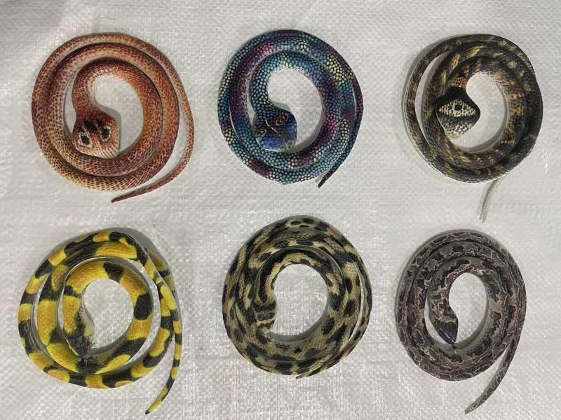 Tpr Anti-Snake Uv Printing No. 2, 24Pcs/ Box