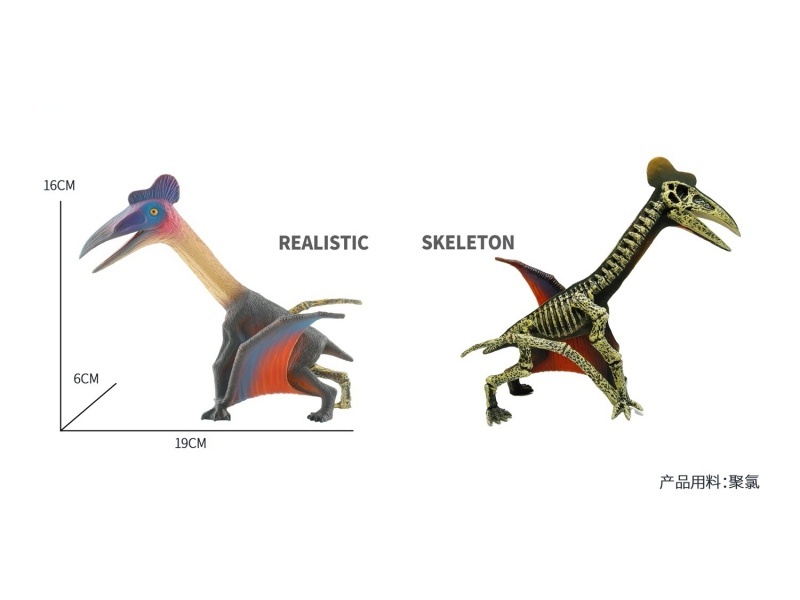 Pterosaur (Half-Skeleton Simulation Dinosaur Toy