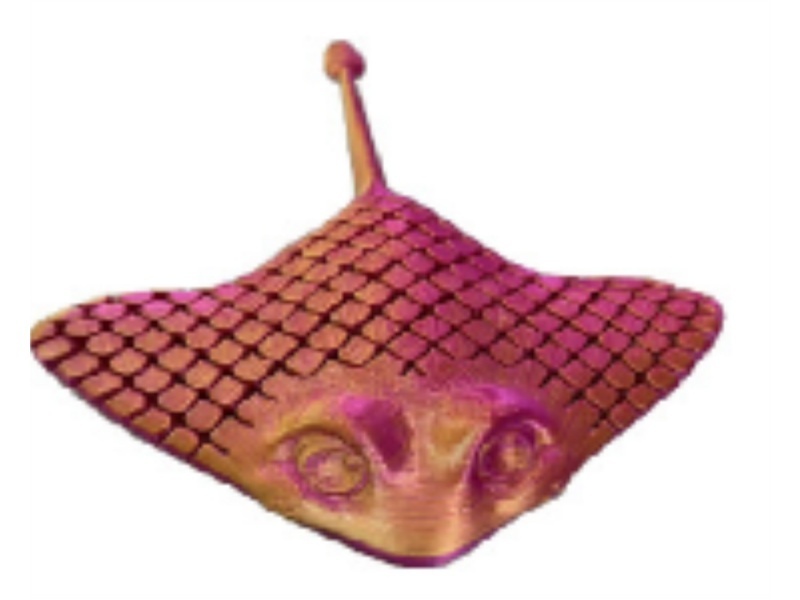 The Ray Is 17Cm Tall