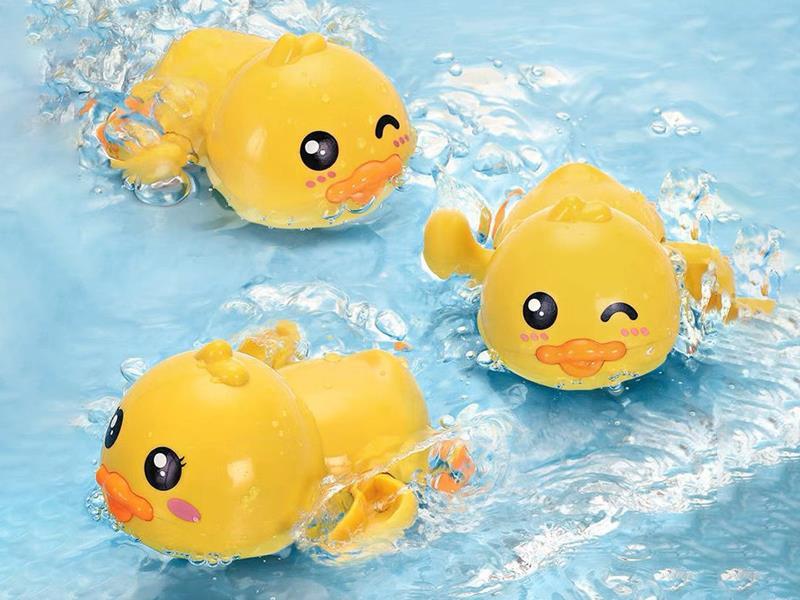 Water Duck Toy