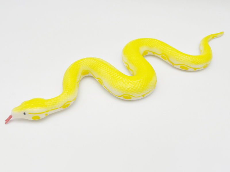 Albino Burmese Python Model