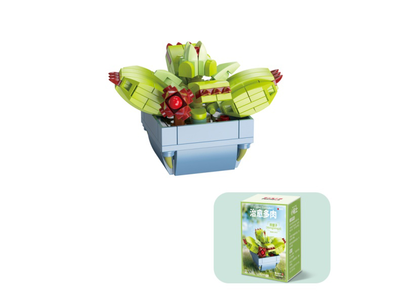 Building Blocks: 115 Pcs Of Small-Sized Succulents - Bear Boy