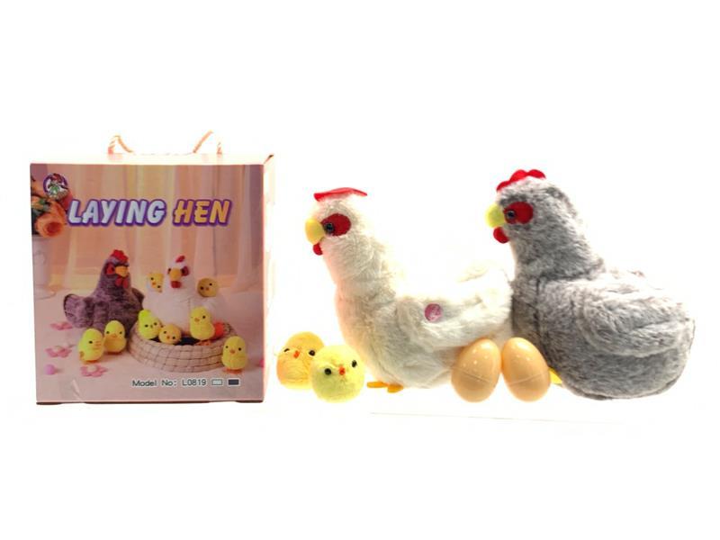 Laying Hen (Brown Grey)