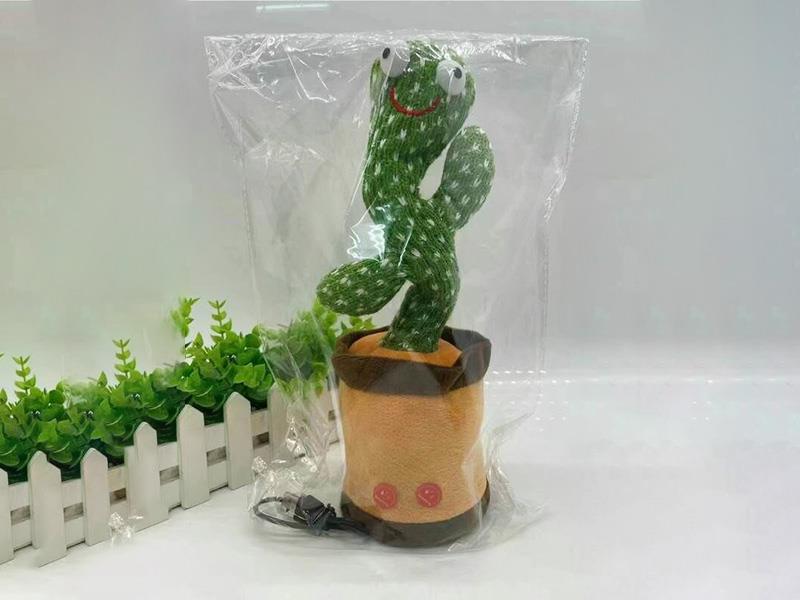 B/O Cactus