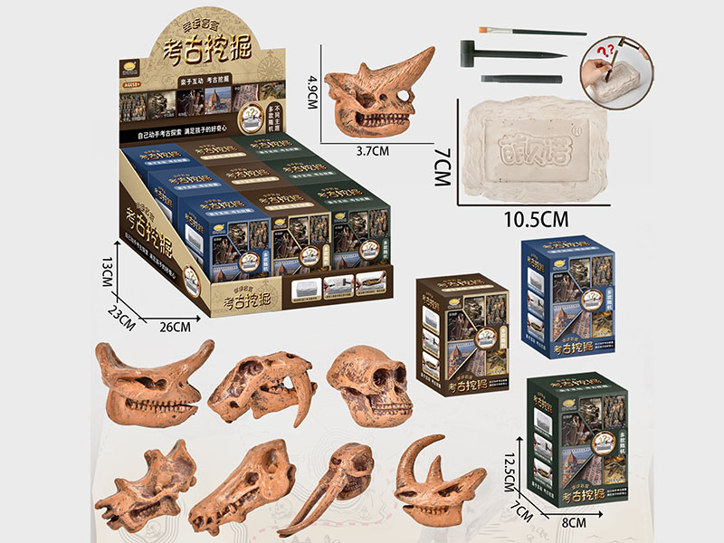 Giant Beast Skull Fossil Archaeological Excavation Kit