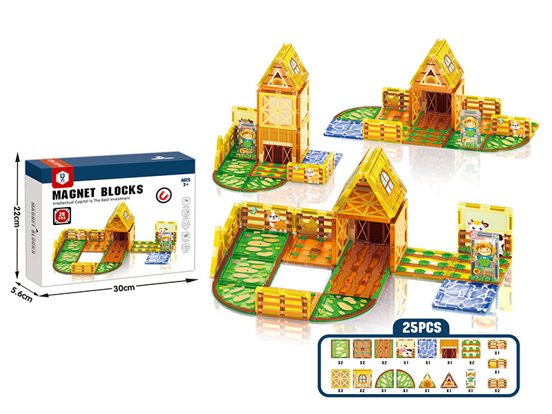 Fram Magnetic Building Blocks 25pcs