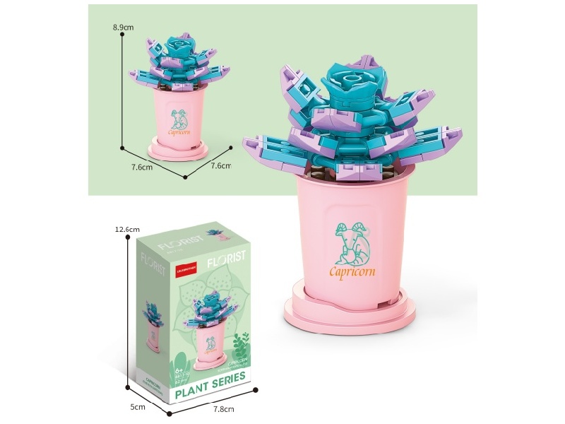 Capricorn, Moon House, 62Pcs