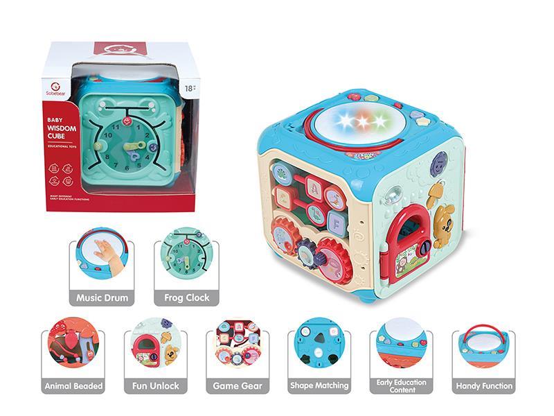 Baby Wisdom Cube