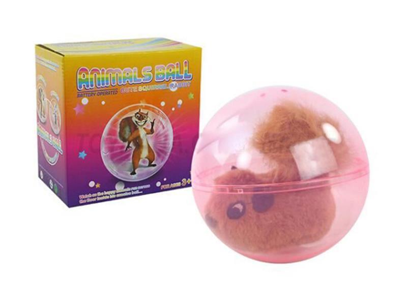 Rolling Squirrel Ball