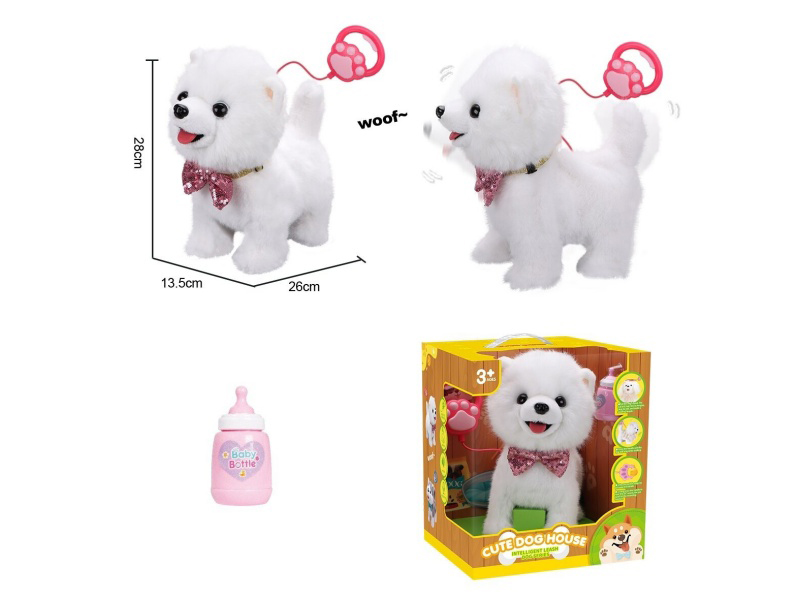 Rope Licking Tongue Samoyed