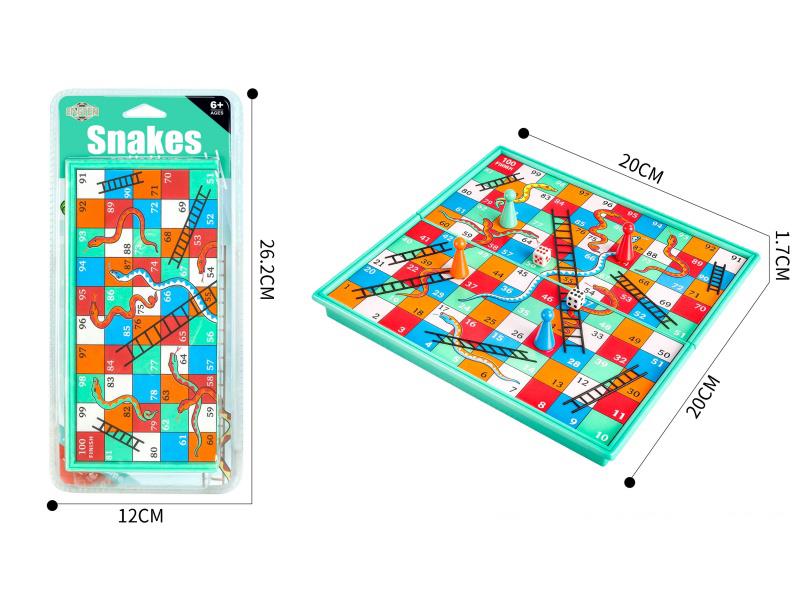 Magnetism Snake Ladder Game