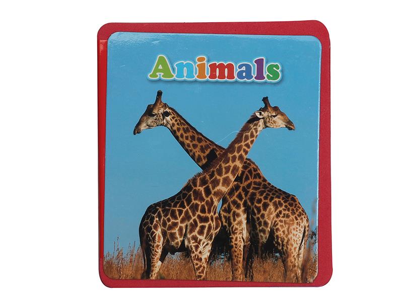 French EVA Early Education Book