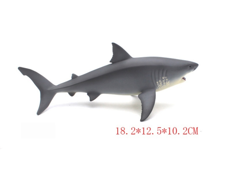 Hollow Great White Shark