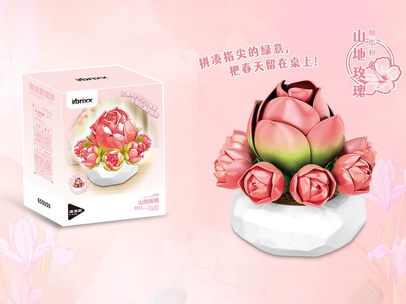 Plant Series Small Particle Building Blocks - Crassula Montana 87CS