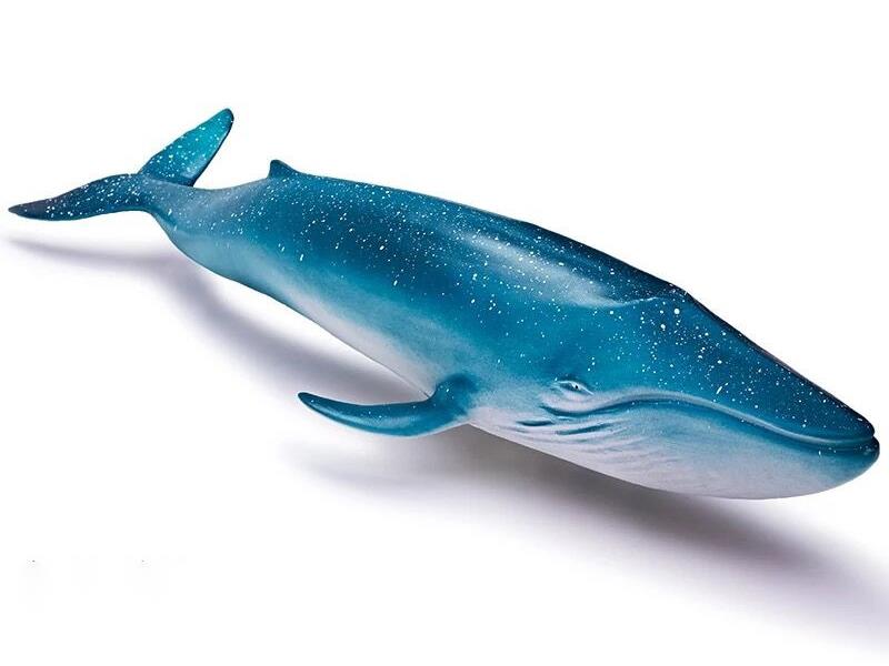 Vinyl Sea Animal Model - Blue Whale