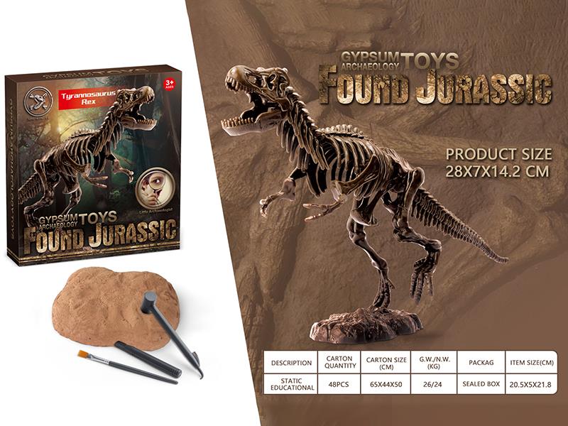 Dinosaur Fossil Archaeological Toy