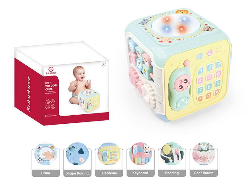 Baby Wisdom Cube