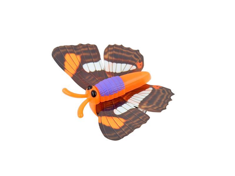 Animals Pull Back Car