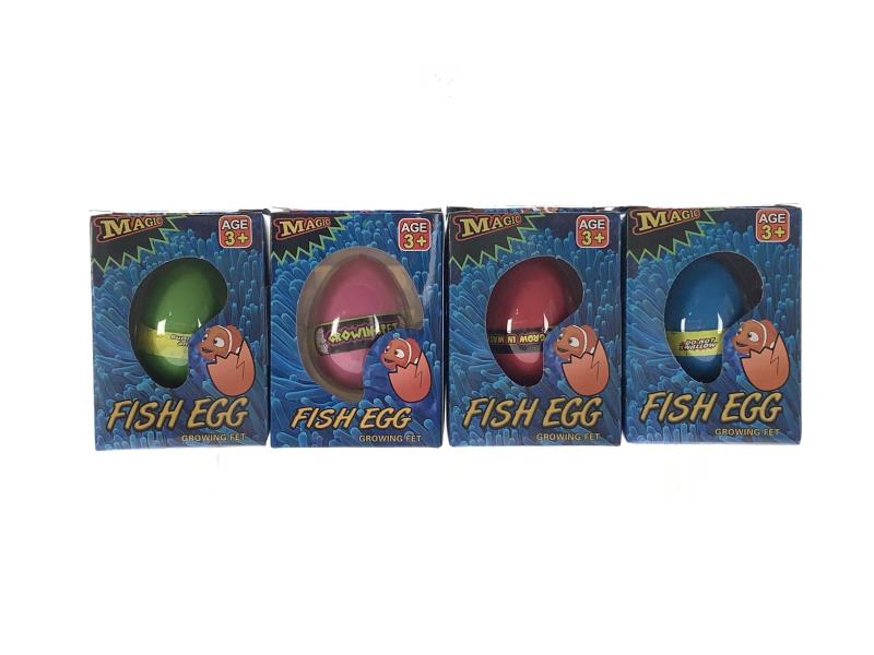 12 Puffed Sea Fish Eggs In A Box