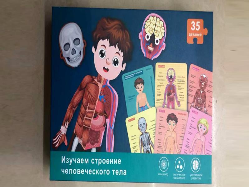 Paper Puzzle Of Body Structure