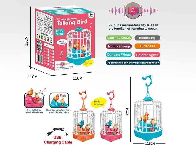 Voice Control Talking Recording Bird