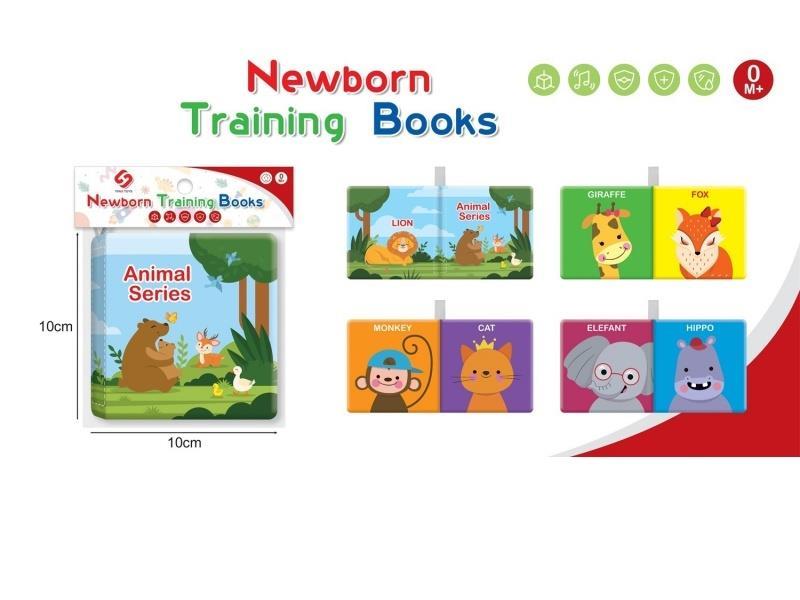 Animal Cognition Book (4 Pages, 8 Sides)