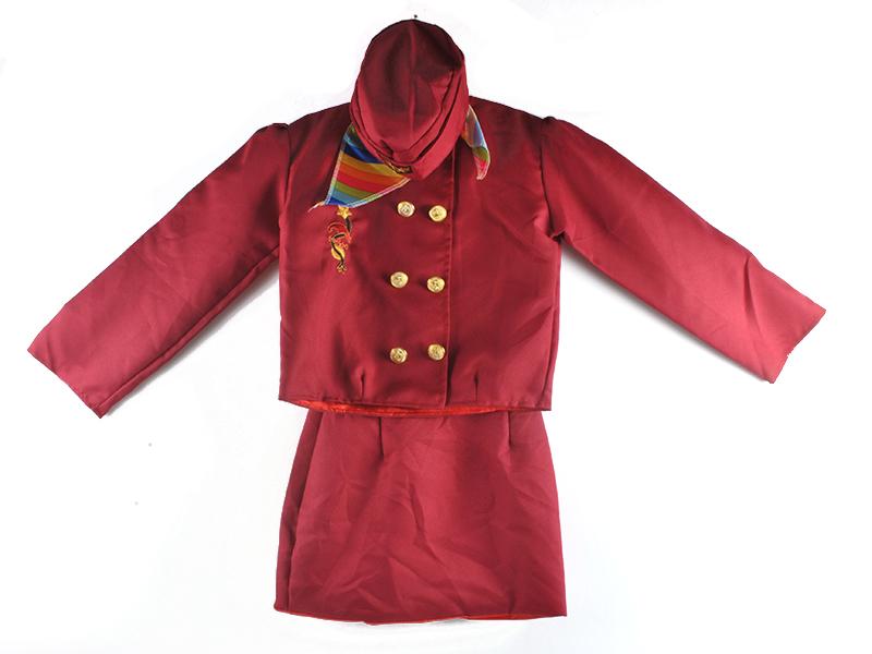 Air Hostess Costume